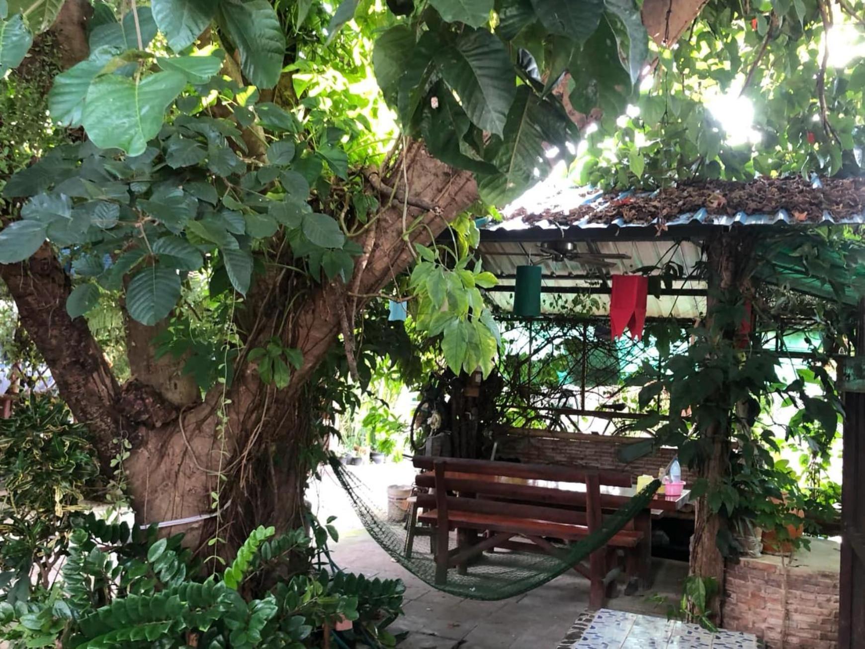Lungsonhouse Pai Villa Buitenkant foto